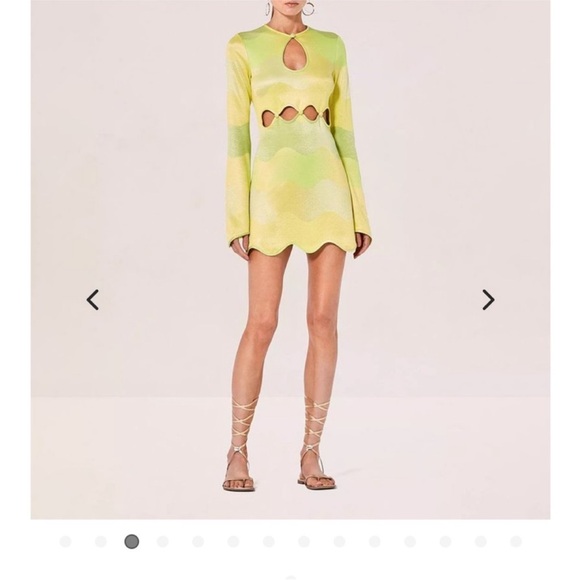 Alexis Yellow and Green Mini Dress - Picture 3 of 7